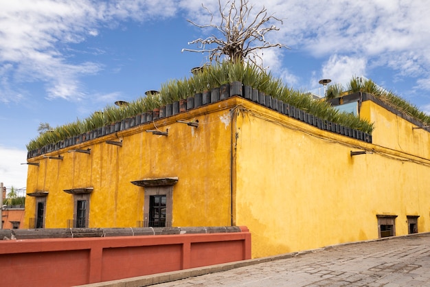 A Fortnight in a Quaint Guatemalan Abode